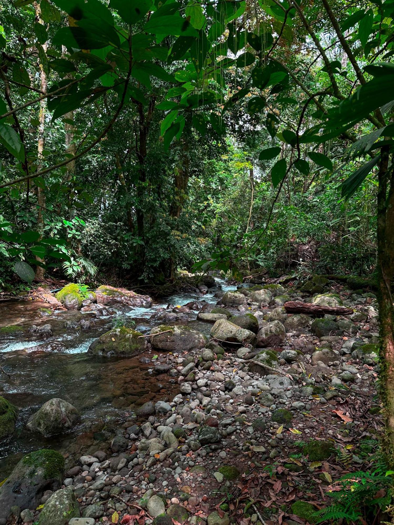 Cabanas Rio Escondido En La Fortuna Exteriér fotografie