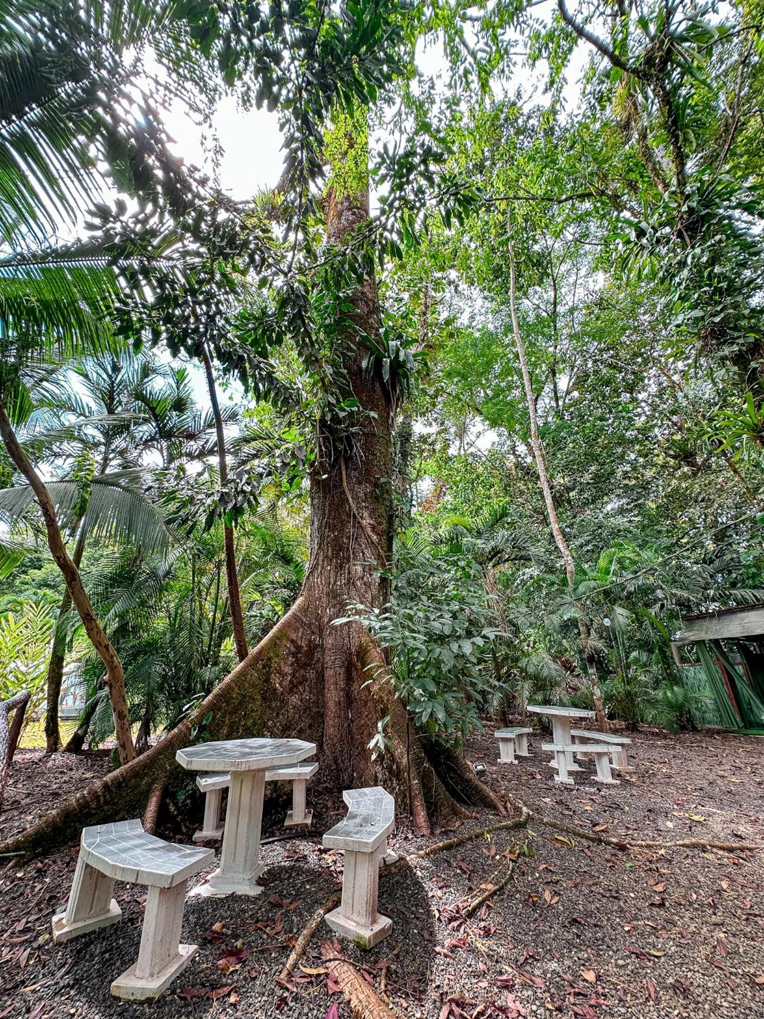 Cabanas Rio Escondido En La Fortuna Exteriér fotografie