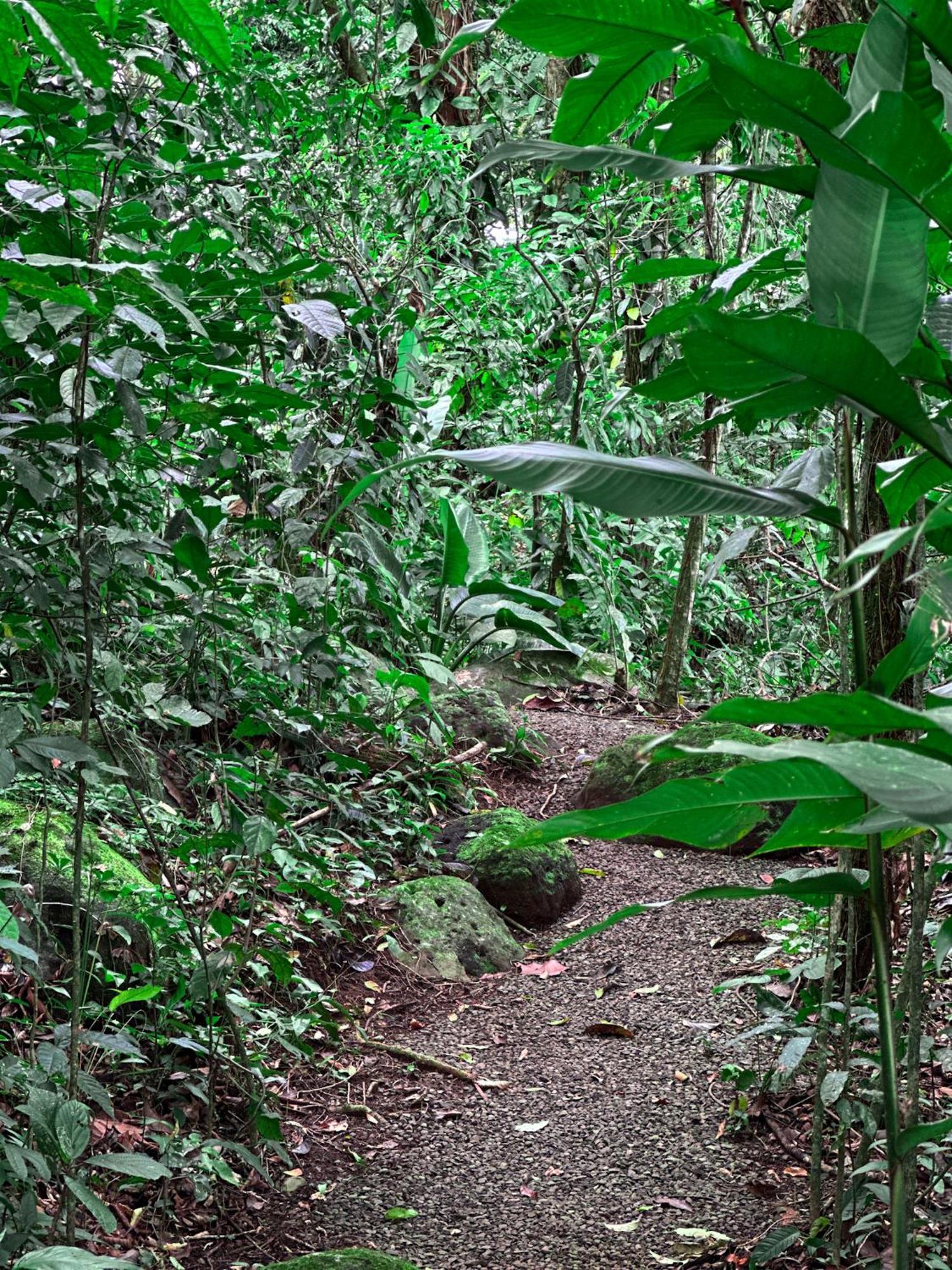 Cabanas Rio Escondido En La Fortuna Exteriér fotografie
