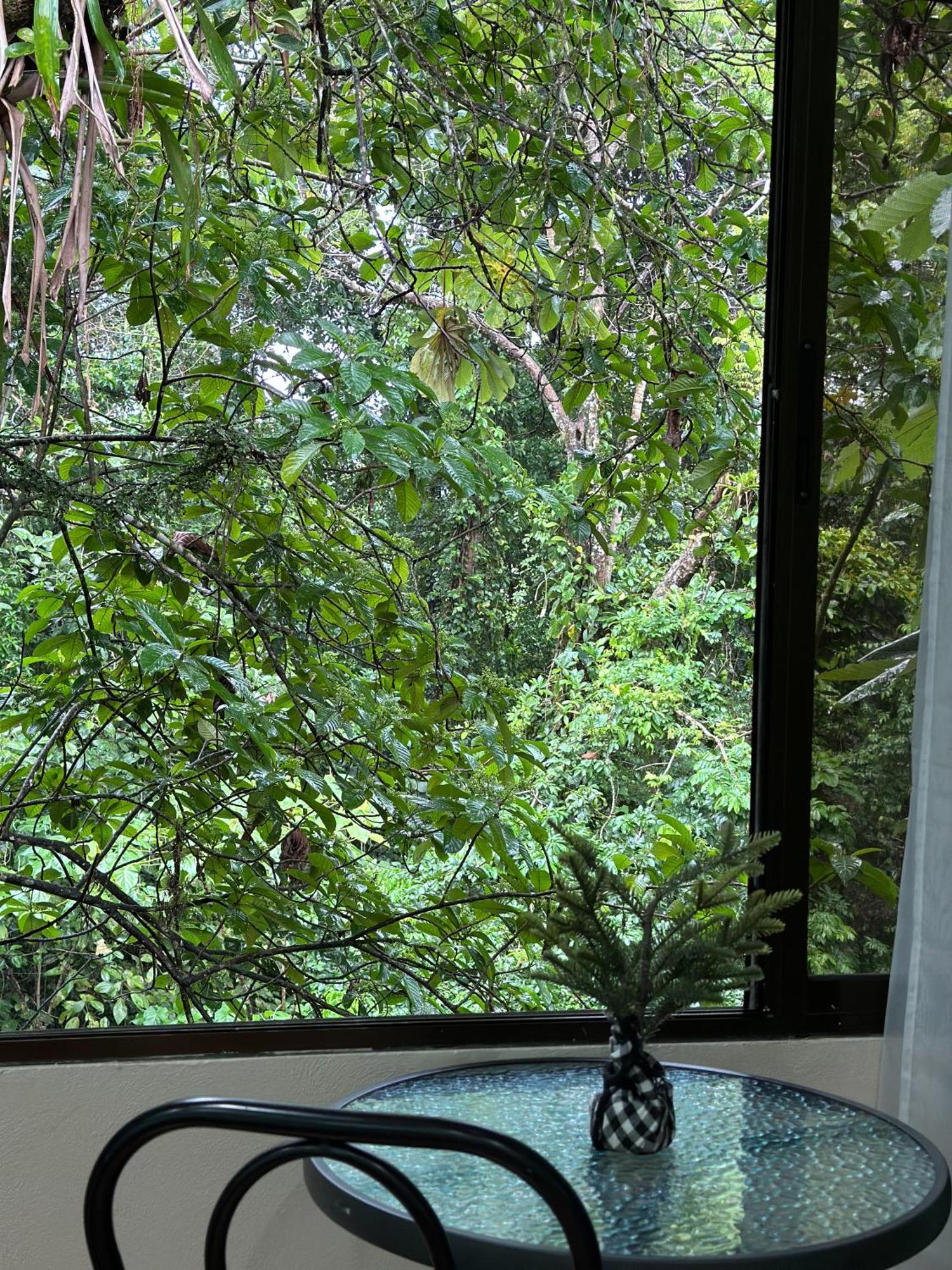 Cabanas Rio Escondido En La Fortuna Exteriér fotografie